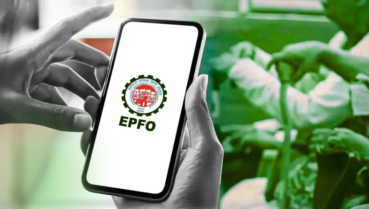 PF Transfer New Rules
